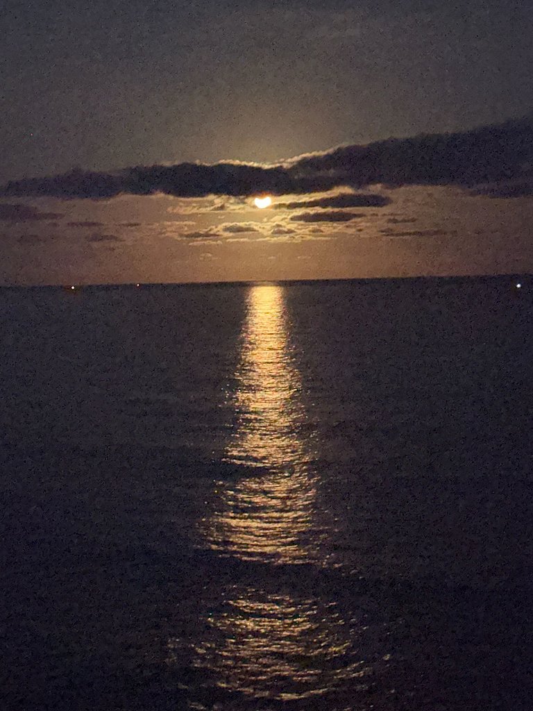 Vista Incrível • Balanço • Ar + Lavadora e Seca